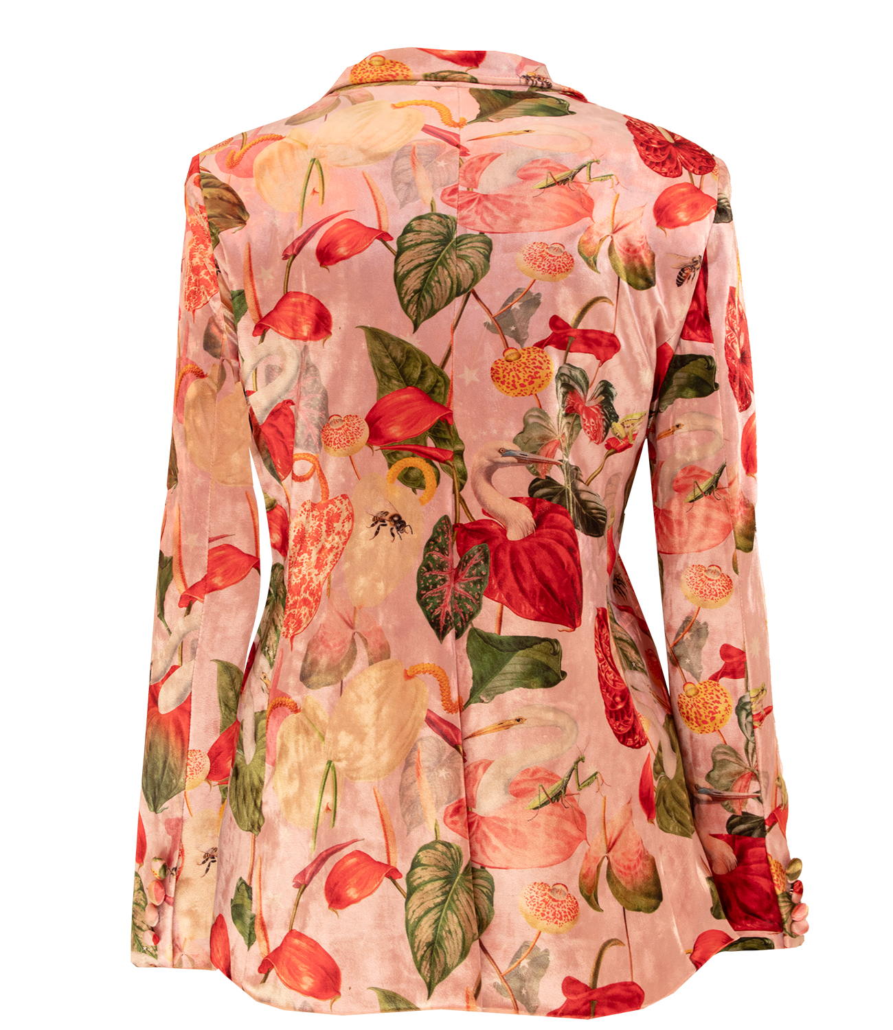 Blazer Terciopelo - Anturios