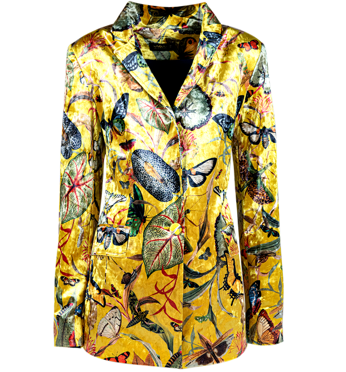Blazer Terciopelo - Butterfly Yellow
