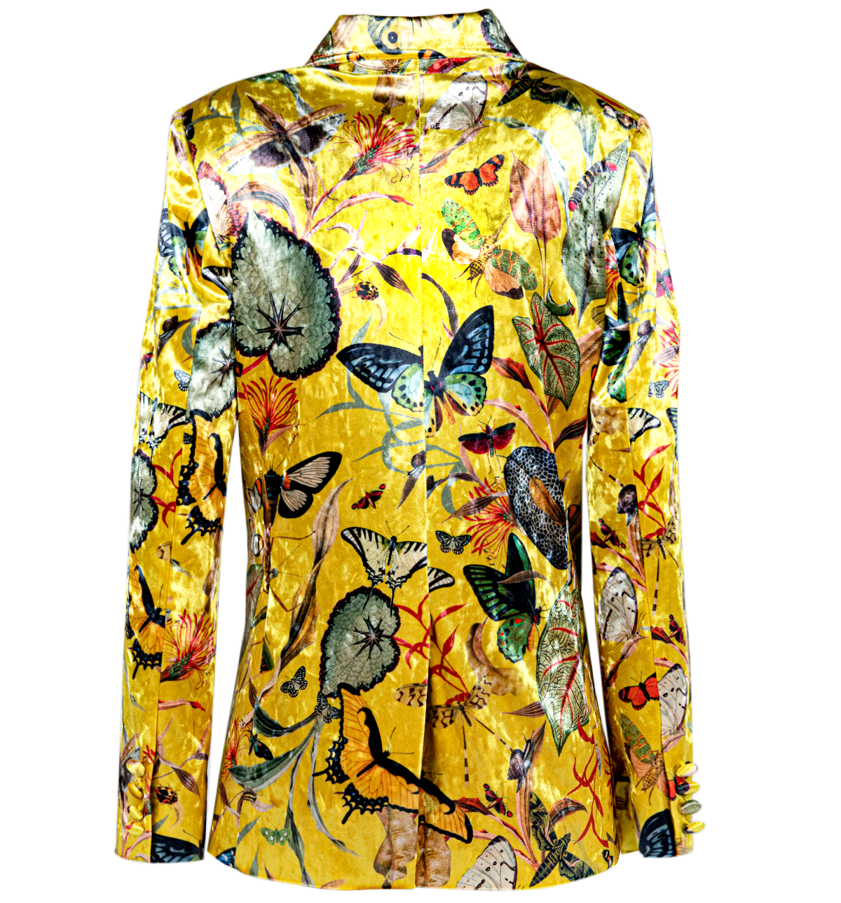 Blazer Terciopelo - Butterfly Yellow
