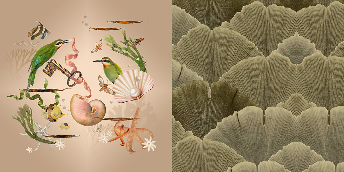 Cojin - Coralina
