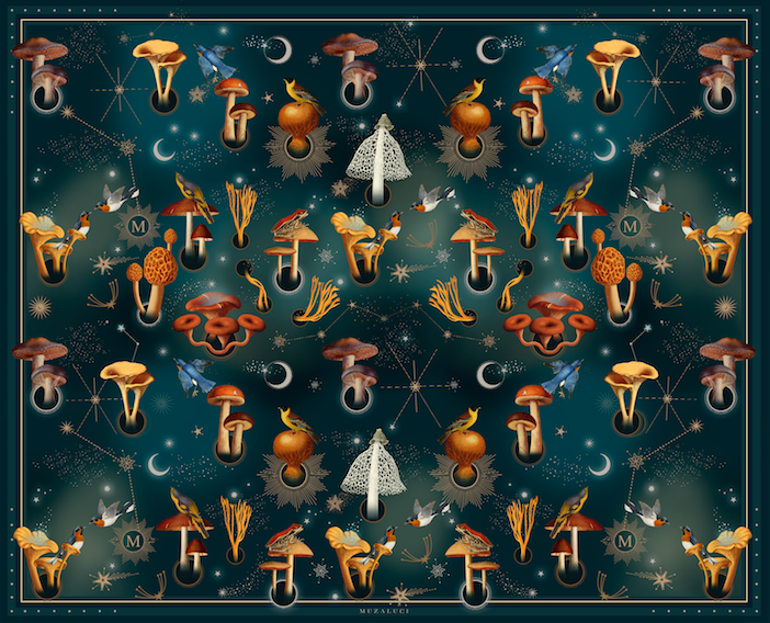 Fungi - Pareo