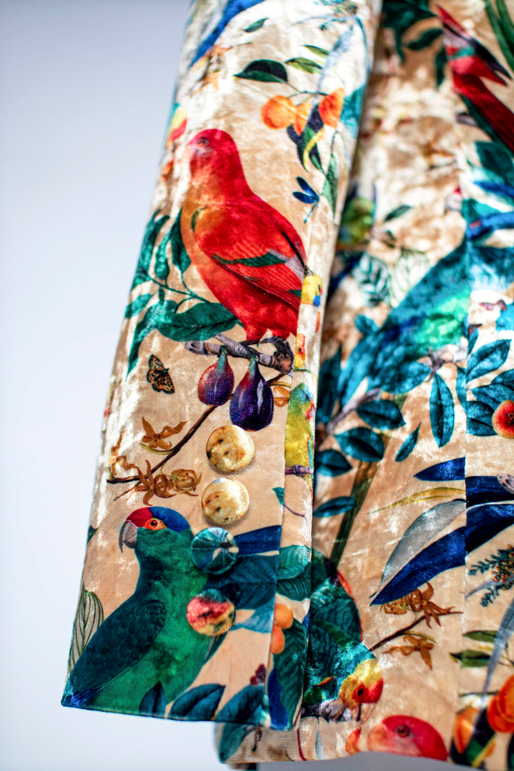 Salmon Colombian Parrots - Blazer Terciopelo