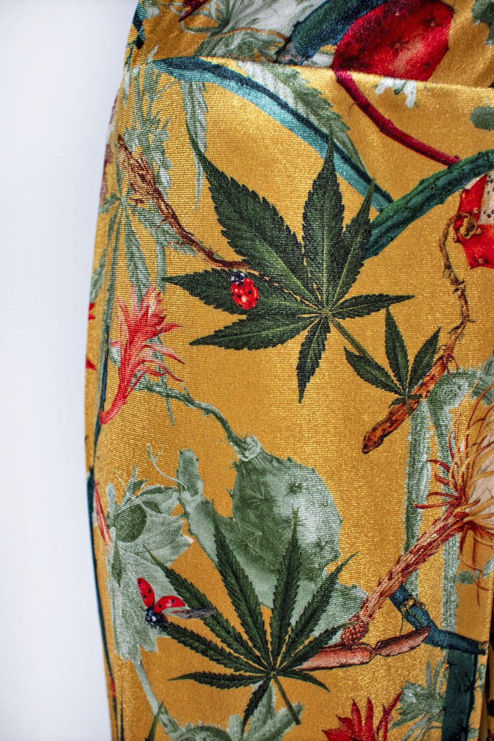 Cactus Yellow - Pantalon Terciopelo