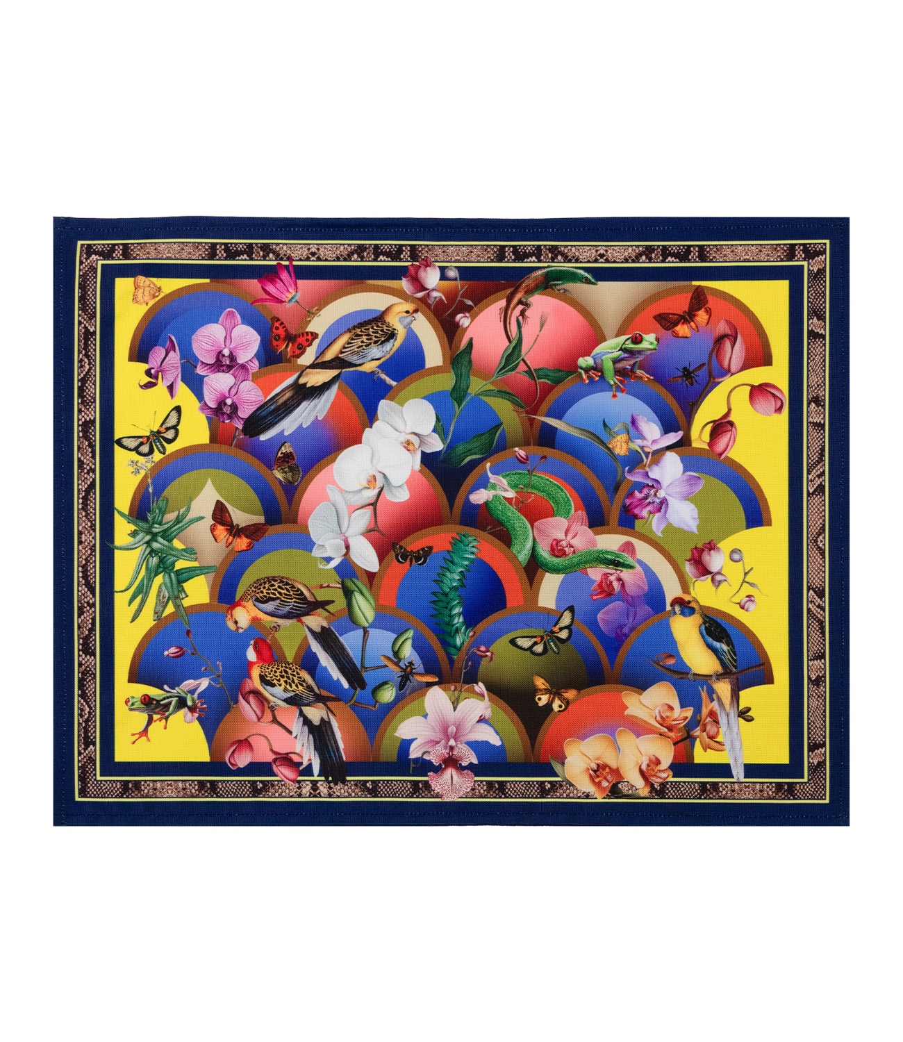 Individual - Rainbow