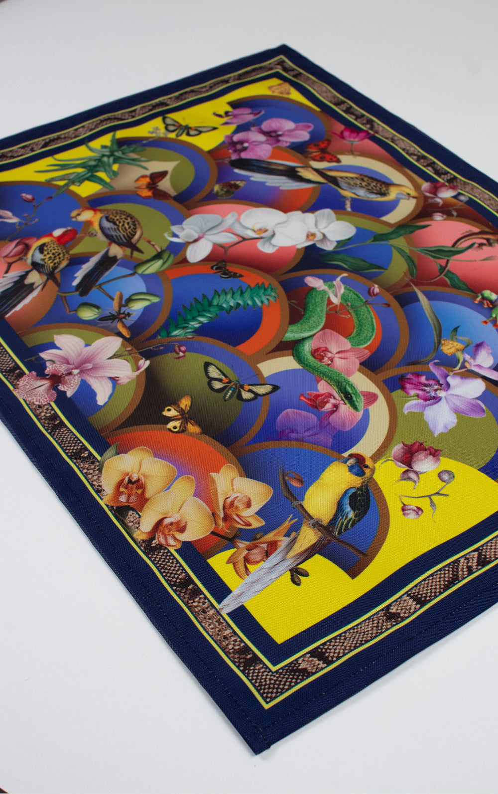 Individual - Rainbow