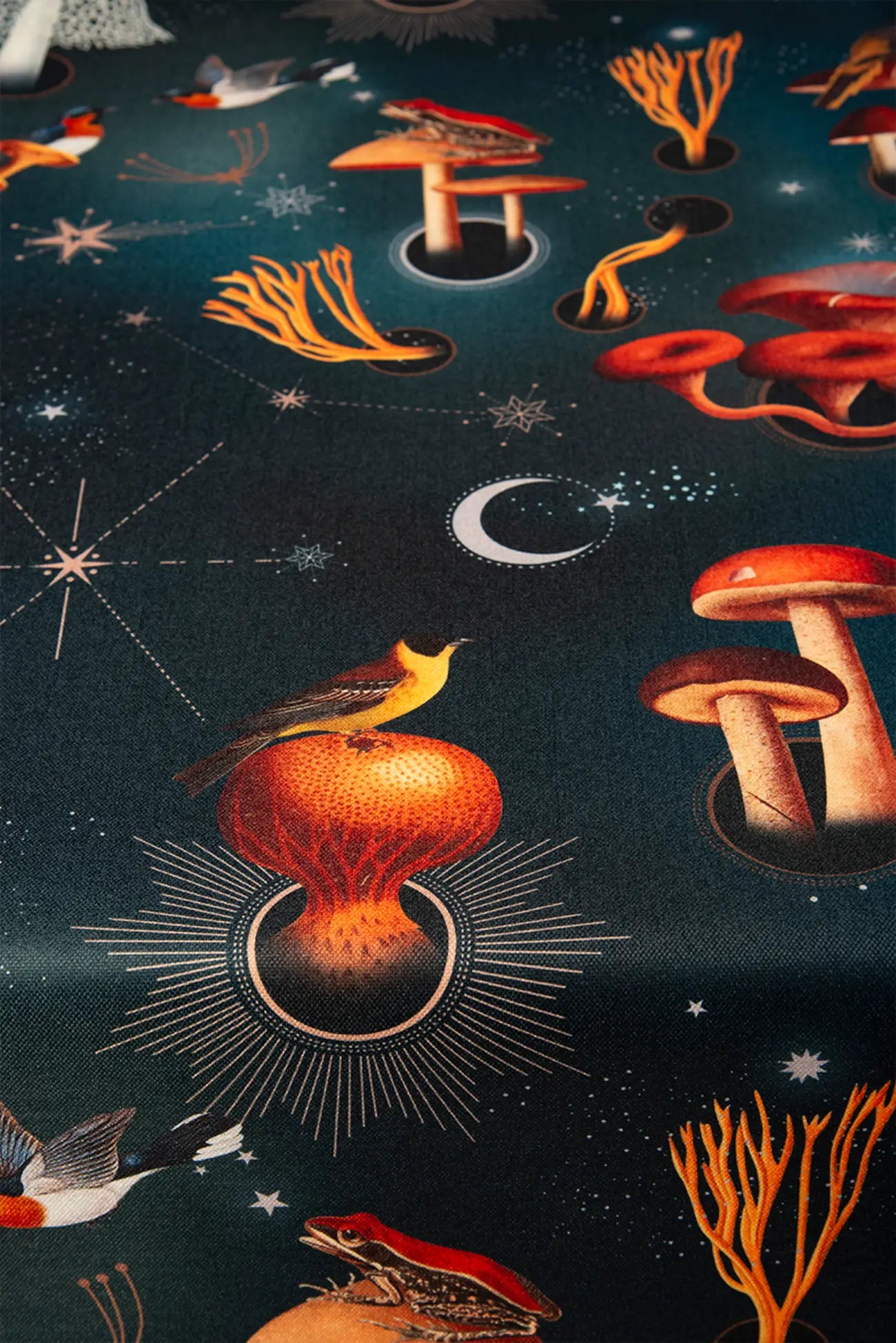 Mantel - Fungi