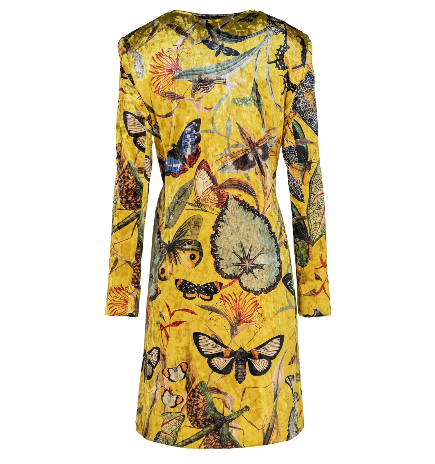 Kimono - Butterfly Yellow