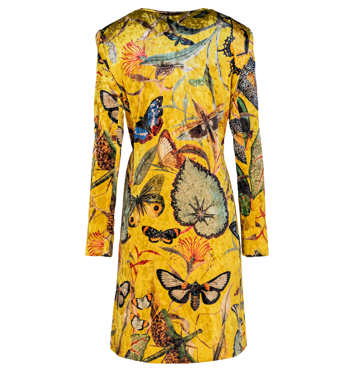 Kimono - Butterfly Yellow