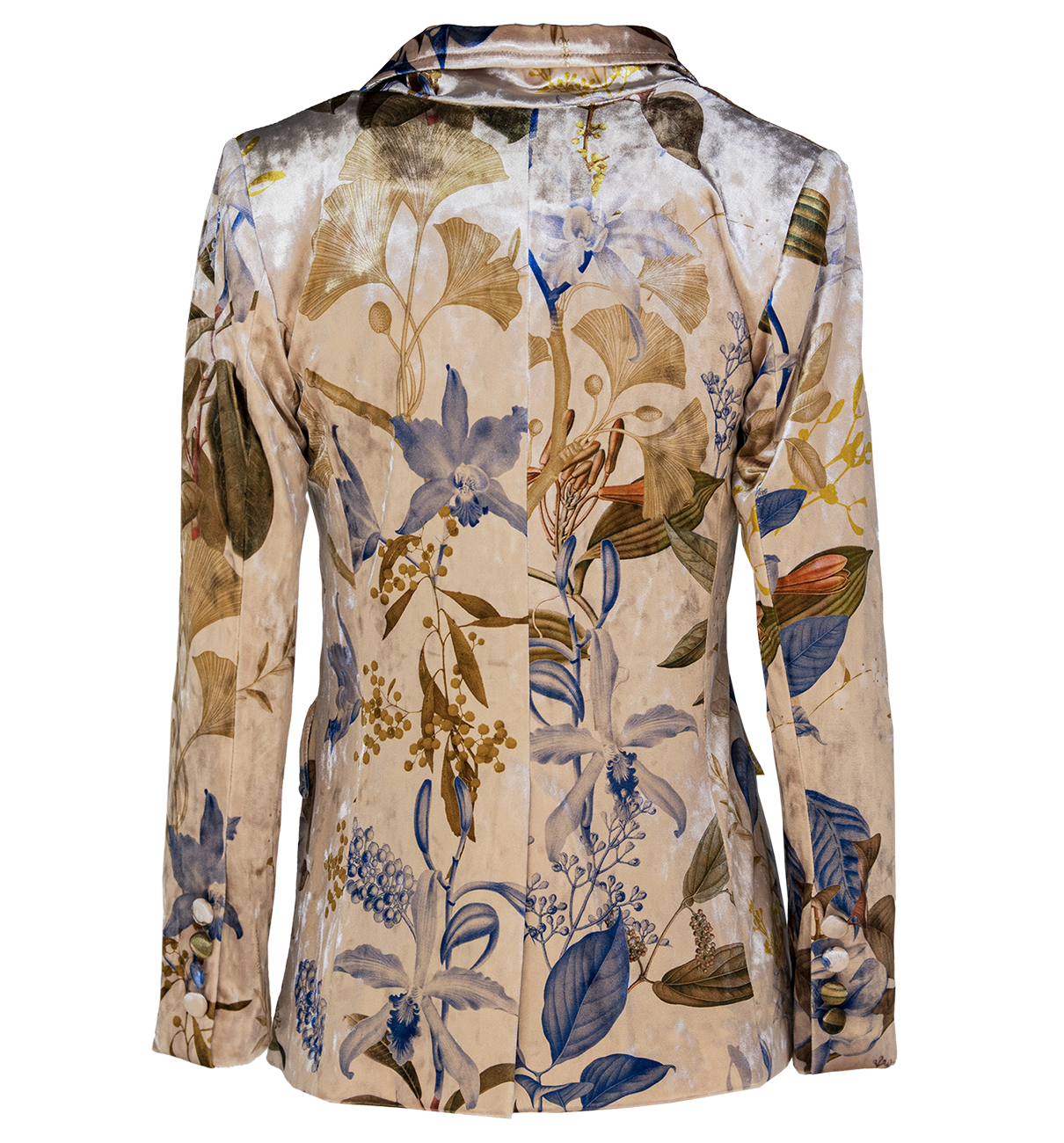 Blazer Terciopelo - Plants