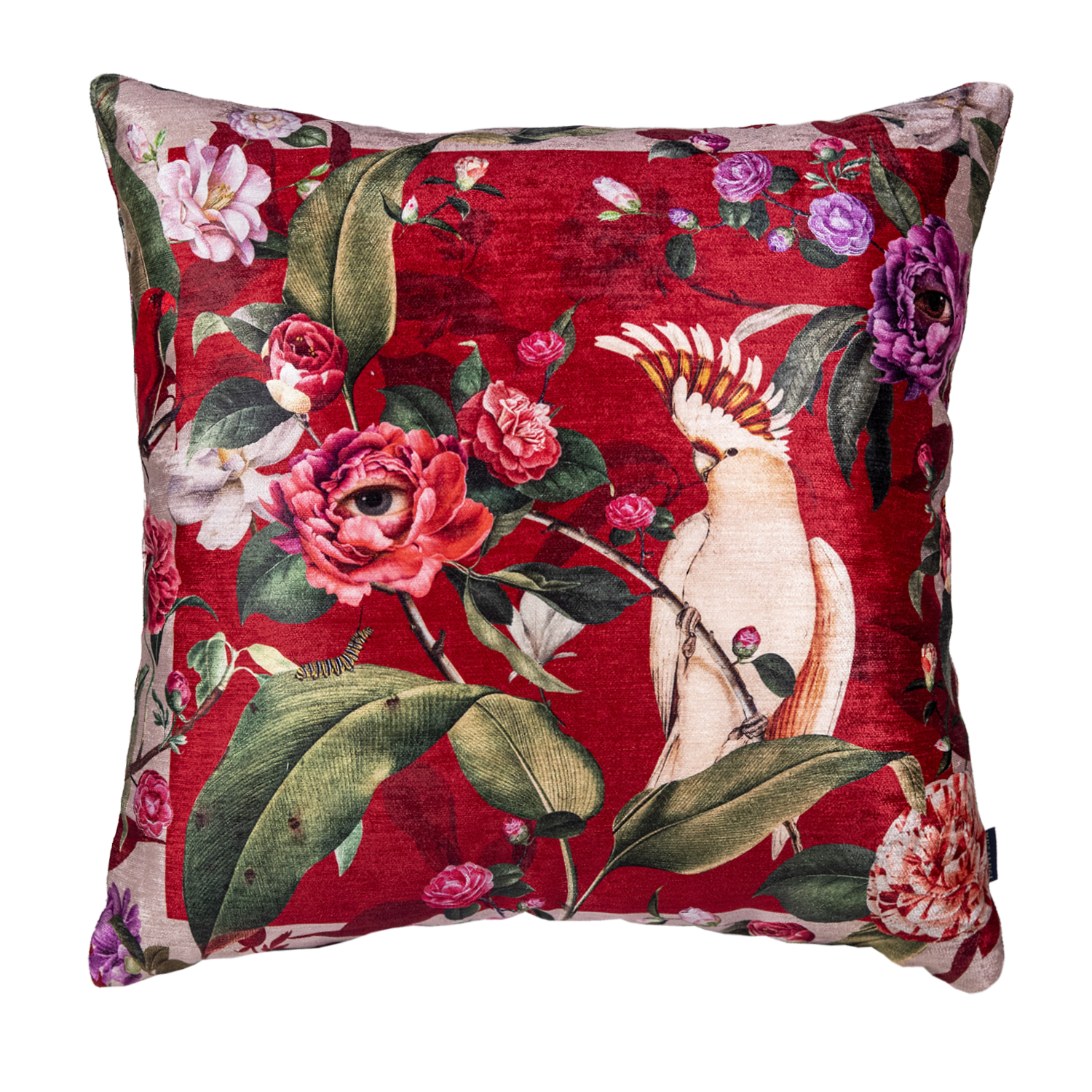 Cojin - Navidad Guacamaya