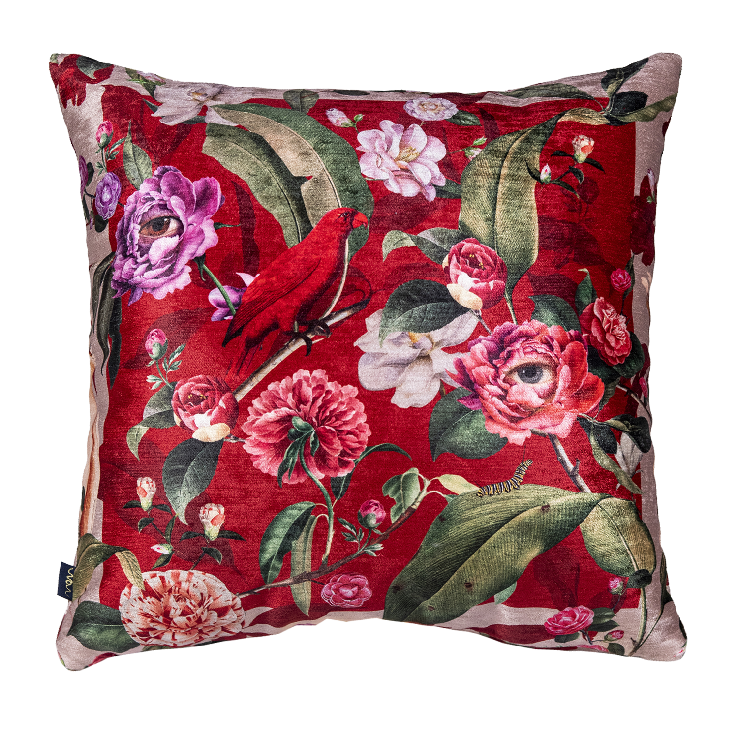 Cojin - Navidad Guacamaya