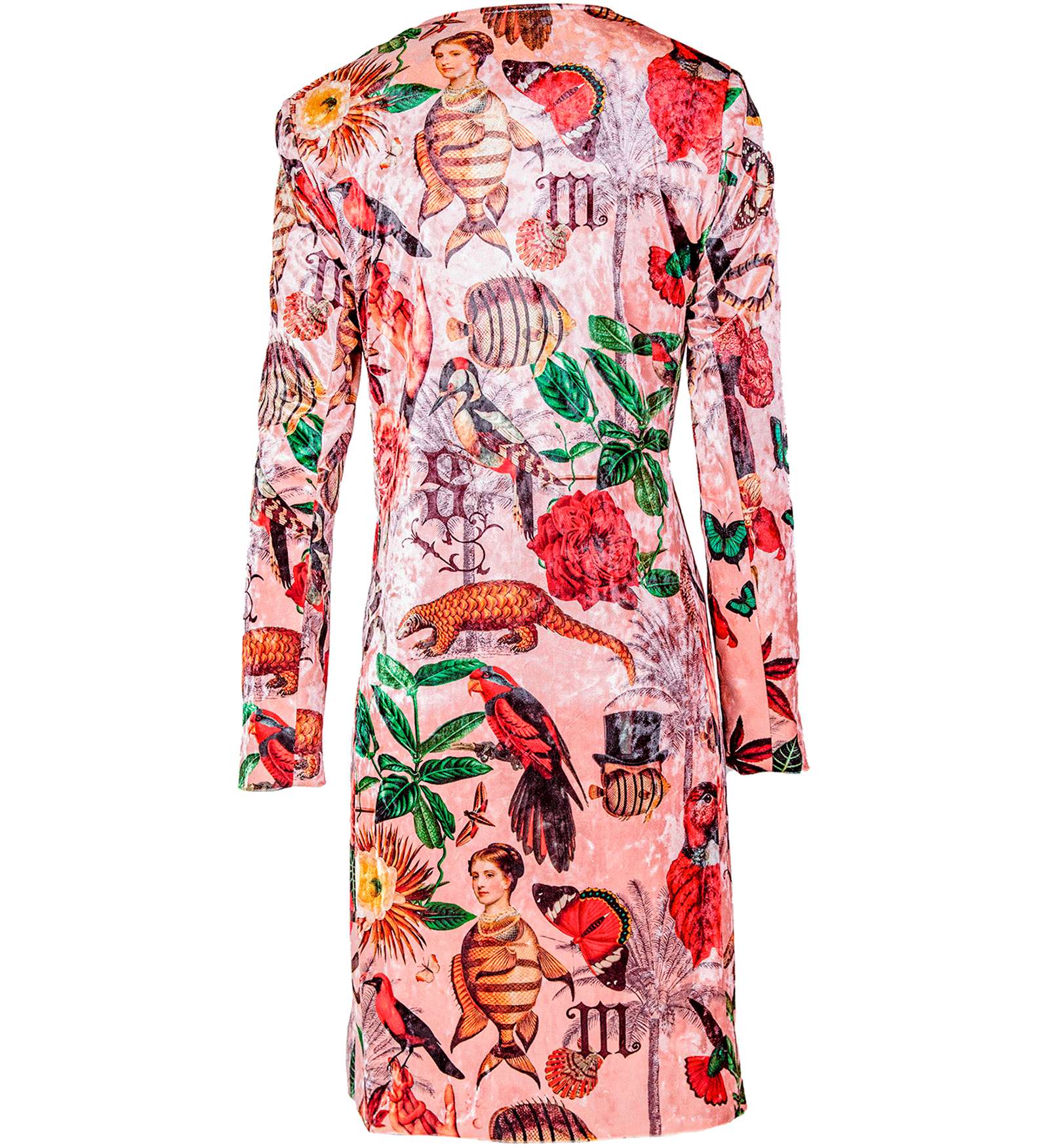 Kimono - Santandercito
