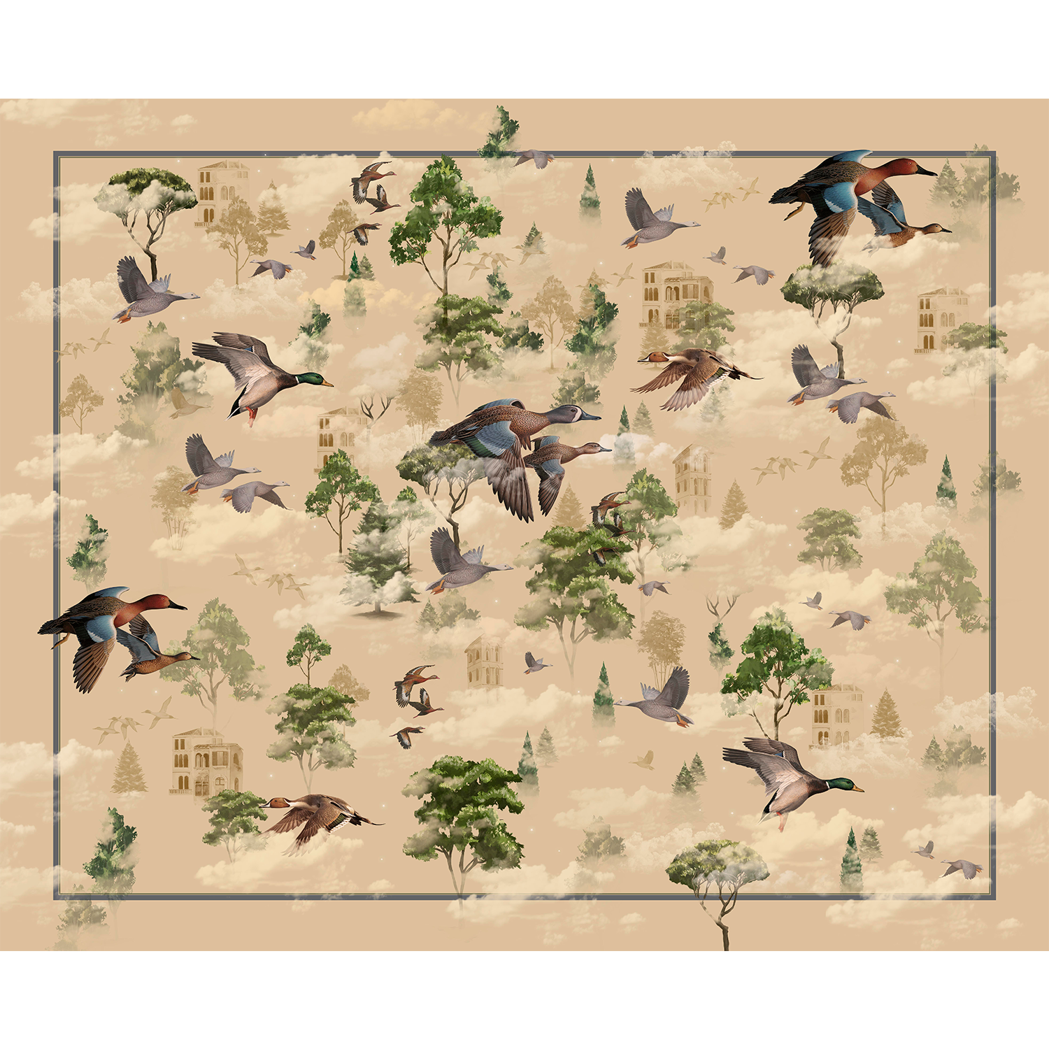 Ducks - Pareo