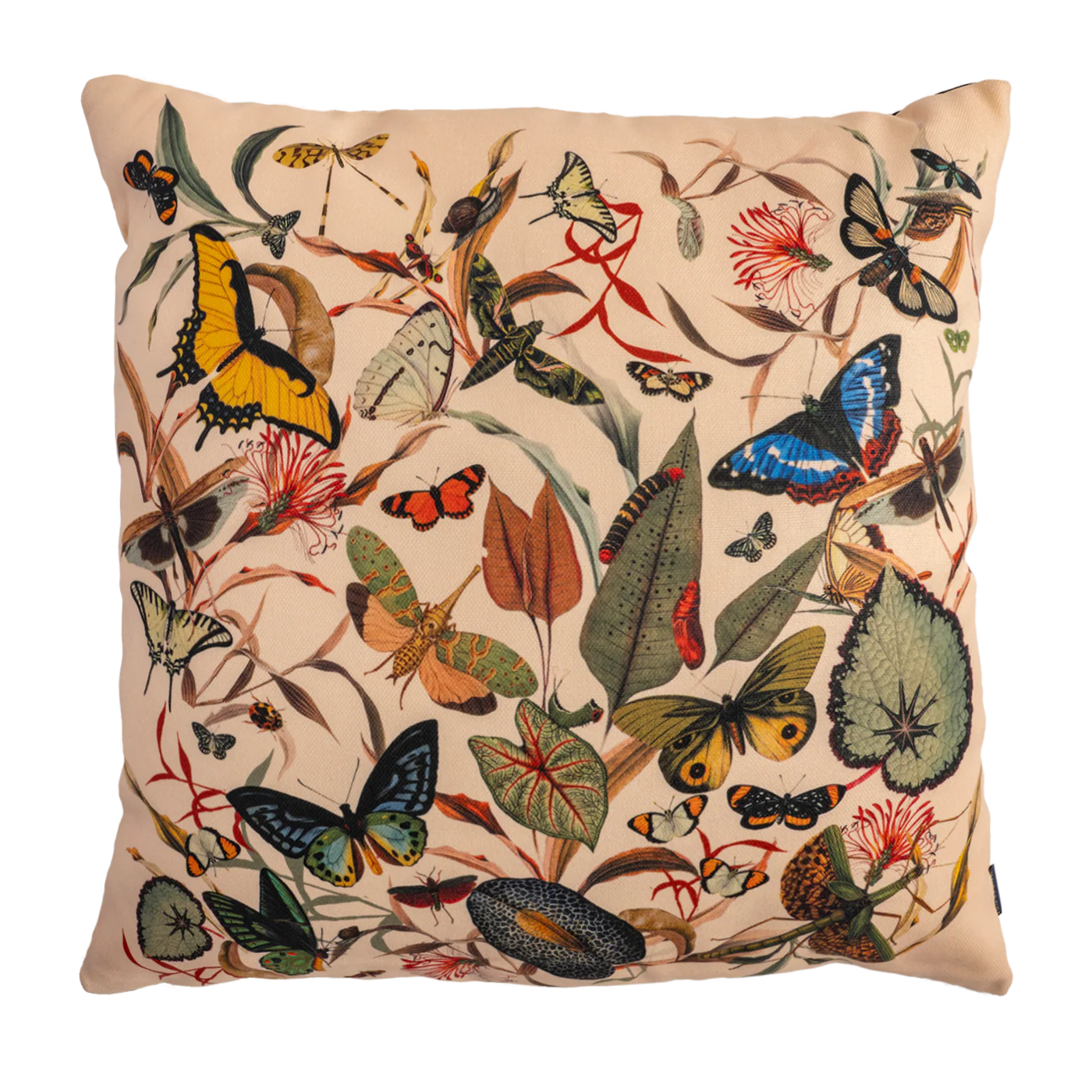 Cojin - Butterfly Ivory