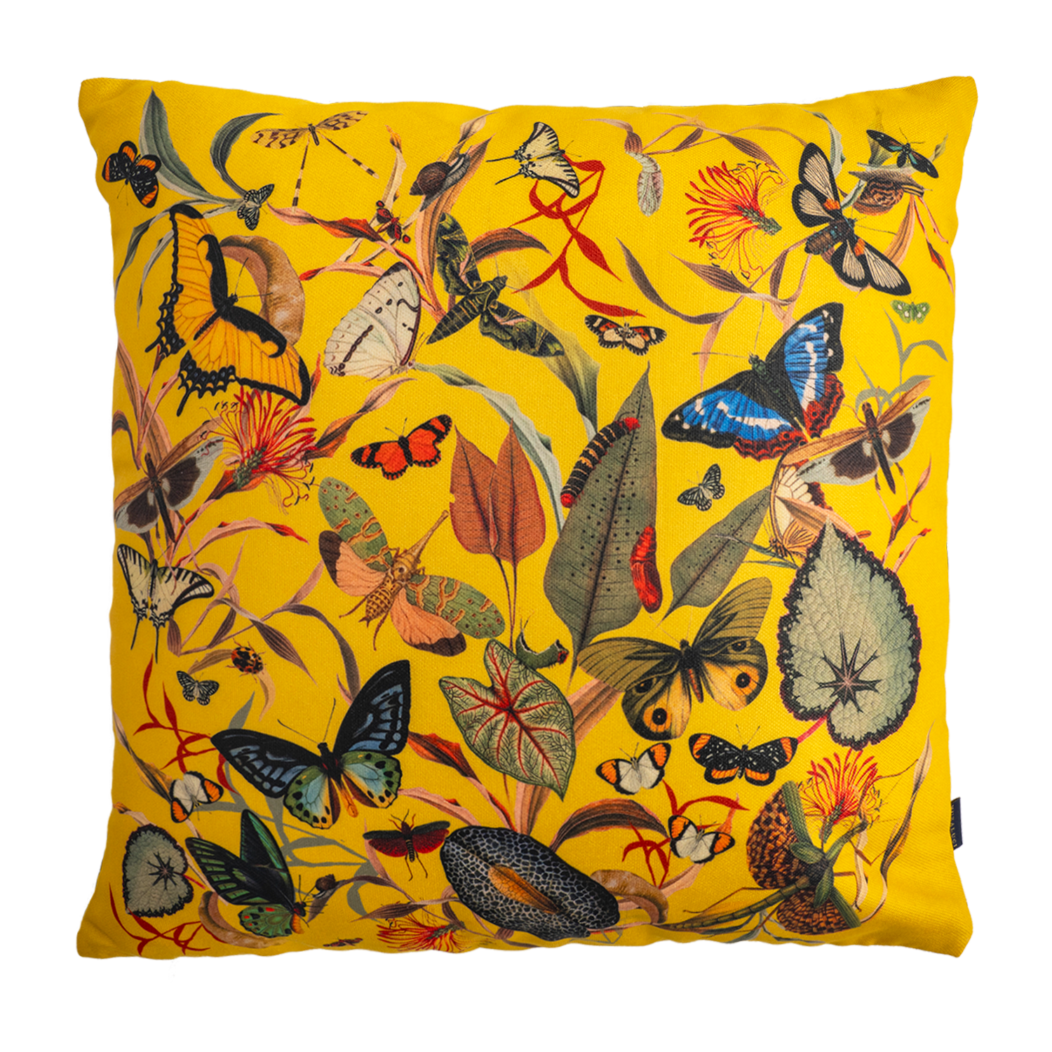 Cojin - Butterfly Yellow