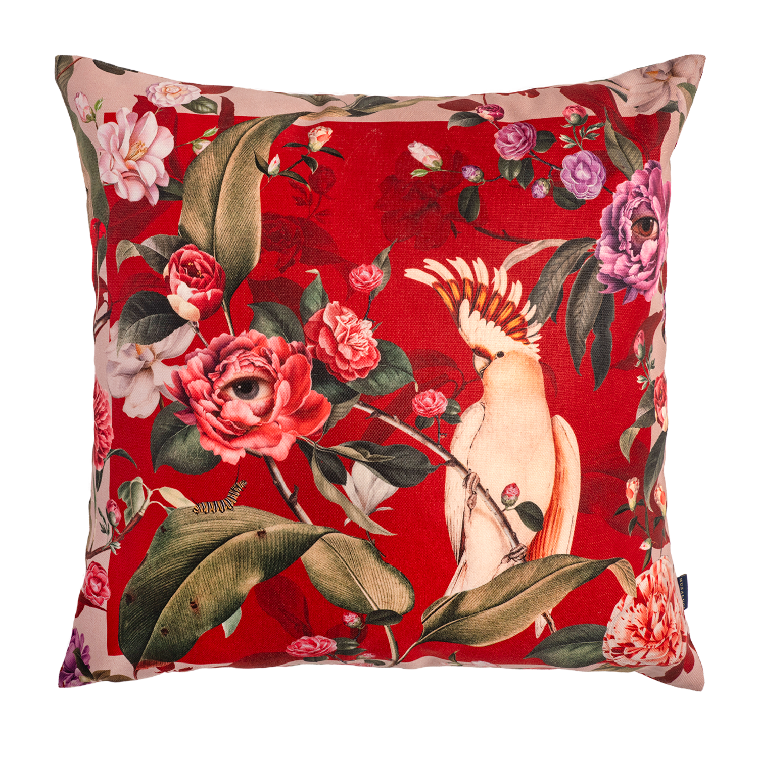 Cojin - Navidad Guacamaya