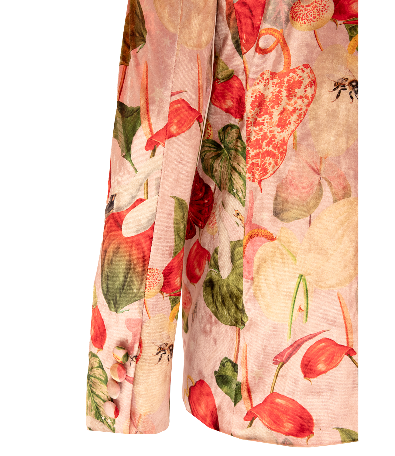 Blazer Terciopelo - Anturios