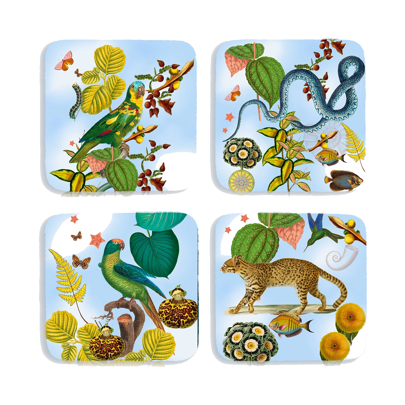 Natividad - Helechos