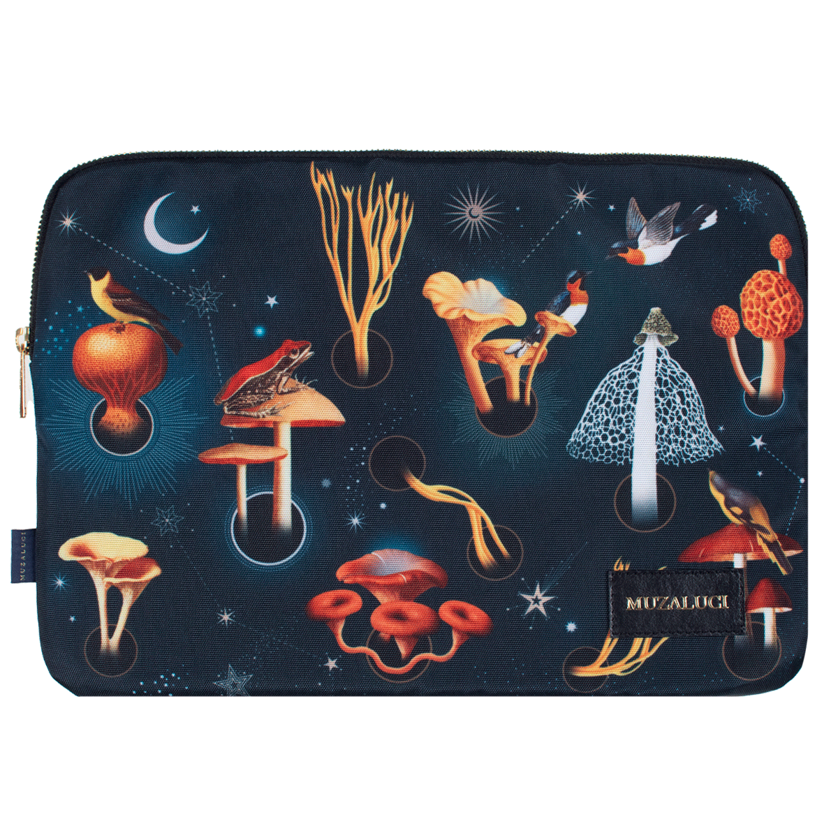 Portalaptop - Fungi